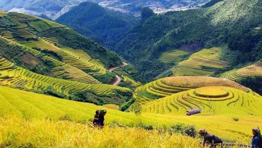 Sapa