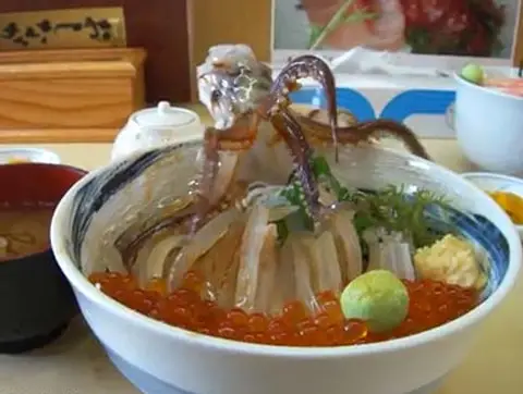 bạch tuộc sống Hàn Quốc