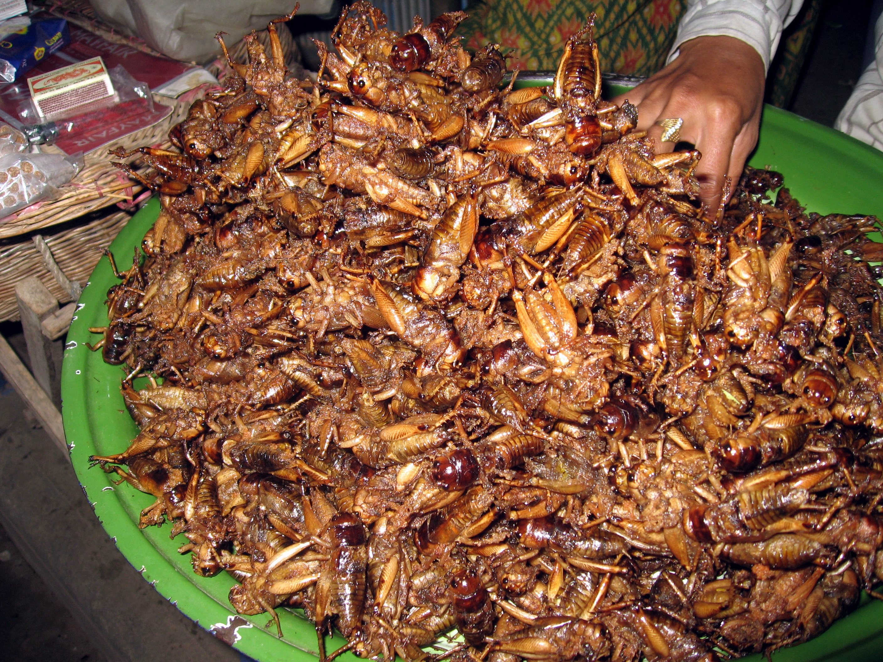 Fried_crickets_in_Cambodia-hga