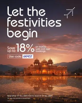 6efest-indigo Vietnam